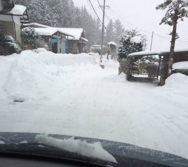 春が待ち遠しい今日この頃・・・