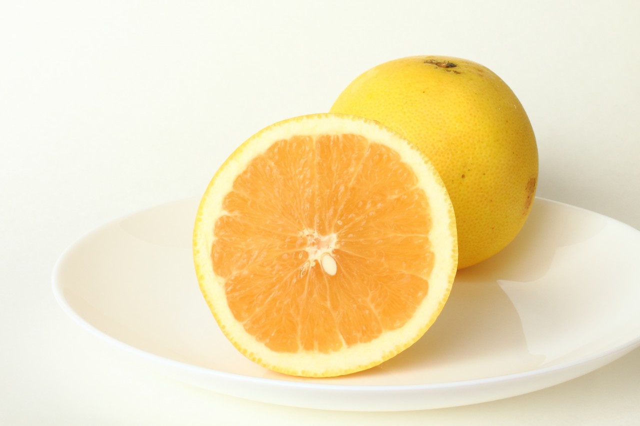 花楓便　10月号　～食欲の秋到来！　アロマでどう乗り切る！？～