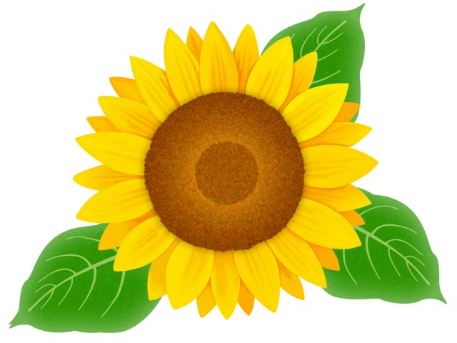 【本郷店】手作りのひまわり🌻