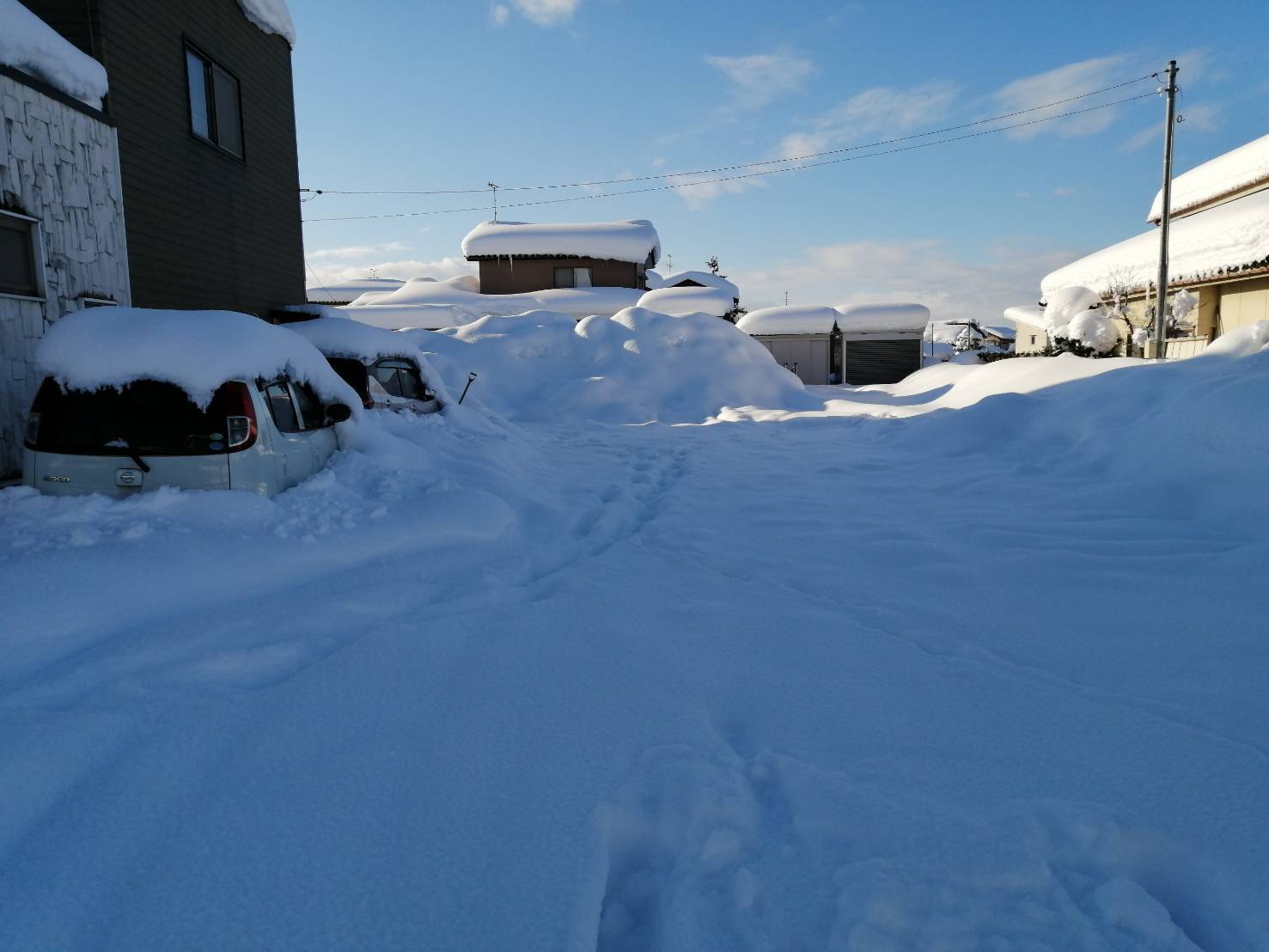 【本郷店】大雪☃