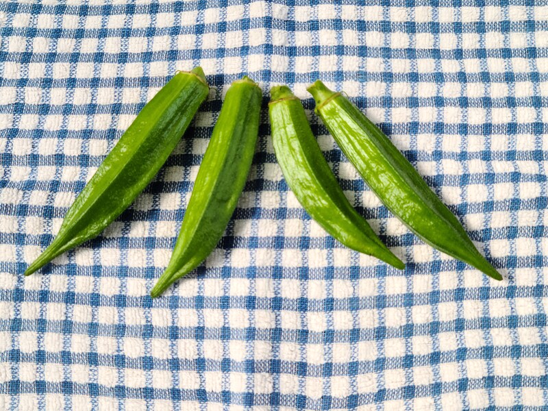 【坂下店】はなの木薬局 園芸部2021② オクラ栽培その４