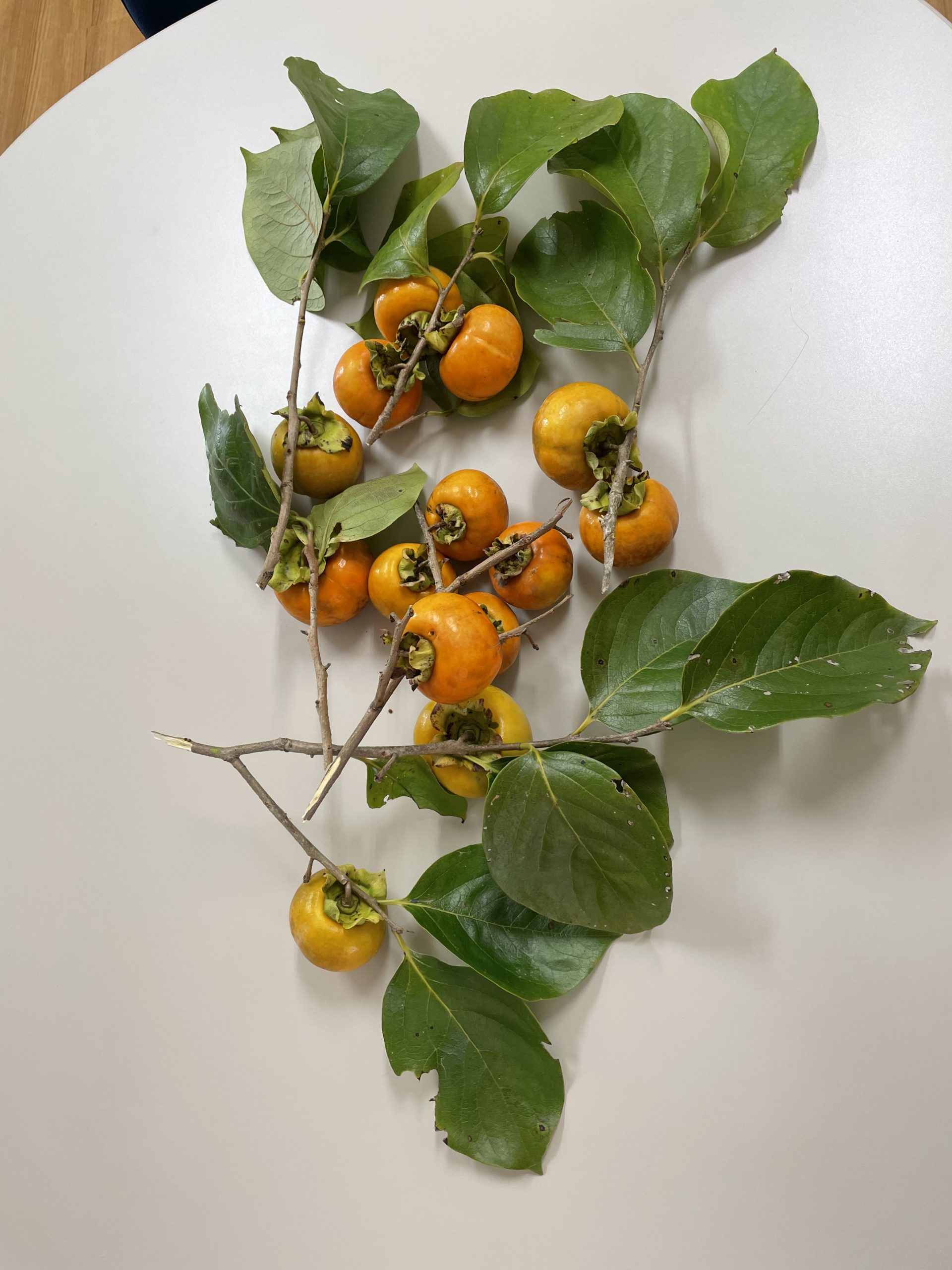 【坂下店】実りの秋