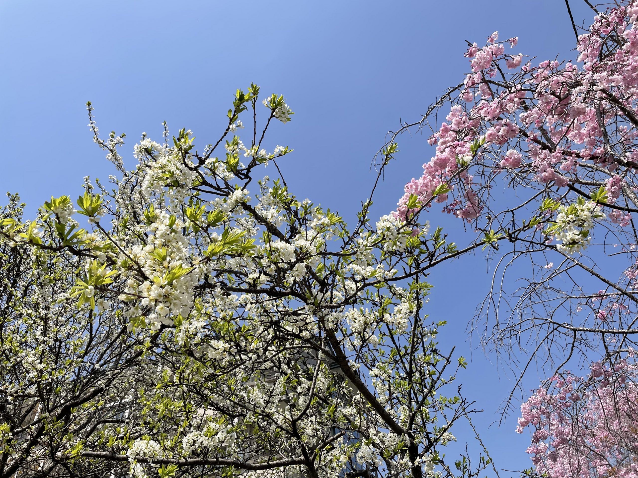 【坂下店】肌トラブルには…