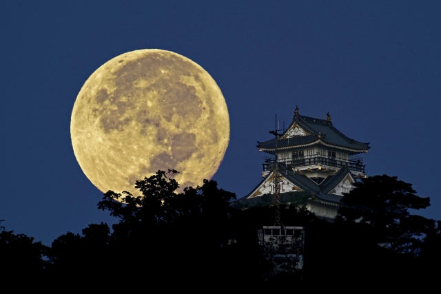 【遠い世界、遠い出来事】感謝の心で、自己研鑽 ～代表取締役　曽我望武～